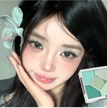 Eyeshadow Palette Blush Highlight Makeup Pearly Highgloss Shimmer Pink Brown Earth Color Fine Sequins Eye Shadow